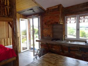 a kitchen with wooden walls and a sink and windows at Le Mont De La Source in Lafarre +57 photos