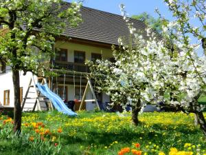 a playground with a slide in a field of flowers at Scharbachhof in Glottertal