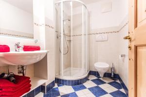 a bathroom with a shower and a sink and a toilet at Kaserhof in Soprabolzano