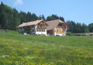 a large house on a hill with a field of flowers at Kaserhof in Soprabolzano