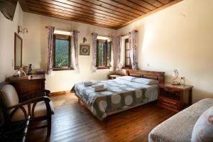a bedroom with a bed and a chair and two windows at Guest House Amadryades in Karpenisi