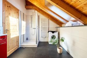 an attic bathroom with a shower and a toilet at Blockhaus - Ferienwohnung Sunrise in Erdmannsdorf +13 photos