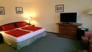 ein Hotelzimmer mit einem Bett und einem Flachbild-TV in der Unterkunft Lausitzhof in Lübbenau