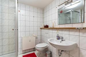 a bathroom with a sink and a toilet and a mirror at Ribeiro Tesouro in Friesenheim +14 photos