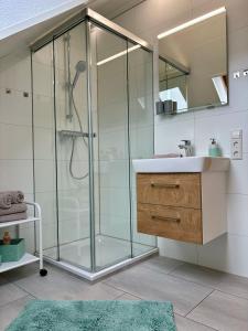 a bathroom with a shower and a sink and a mirror at Ferienhof Hanssler in Wilhelmsdorf +71 photos