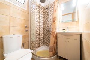 a bathroom with a toilet and a shower and a sink at Arianna apartment 10 in Paleokastritsa +17 photos