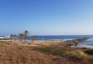 a beach with palm trees and the ocean with a pier at Casa Danca Cabopino in Marbella