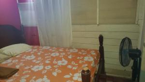 a bedroom with a bed with an orange comforter and a fan at rushels in Drunkenmans Cay