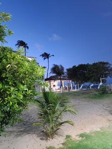 a view of a beach with palm trees and a house at Casa Amarela - Guajiru in Trairi