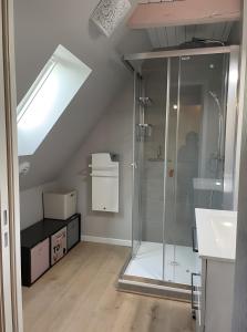 a bathroom with a shower and a sink at Gîte Rosa Bonheur in Saint-Cernin +10 photos