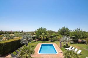 a swimming pool in a garden with palm trees at Villa Formosa in Almancil