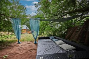 a bed is hanging from a tree in a yard at Le chouette insolite in Cresseveuille +2 photos