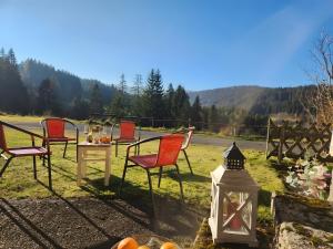 a group of chairs and a table in the grass at Alte Schmiede 2 Fewos in Feldberg