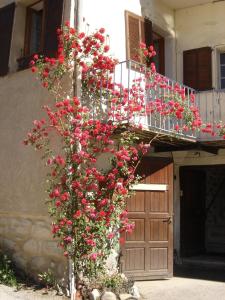 a bunch of red flowers growing on a building at Appartement La Petite Cascade in Allos +5 photos