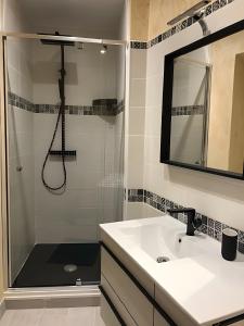 a bathroom with a shower and a white sink at Gîte Les Aubennes in Fromelennes