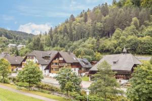 an aerial view of a resort in the mountains at Am Wehrastrand App 4 in Todtmoos