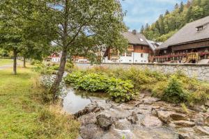a river in front of a building next to a building at Am Wehrastrand App 4 in Todtmoos