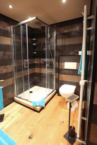 a bathroom with a shower and a toilet at Quartierblancdenoir Wohnungen in Reil