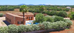 a brick house with a palm tree and some bushes at Can Mates Nou in Campos