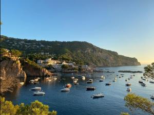 a bunch of boats sitting in the water at Can Quintaneta in Begur