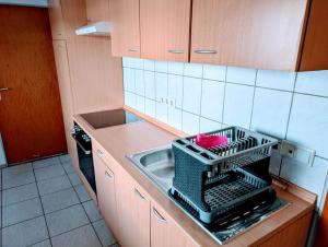 a kitchen with a dish drying rack on the sink at Wat Bickenbach in Bickenbach +9 photos