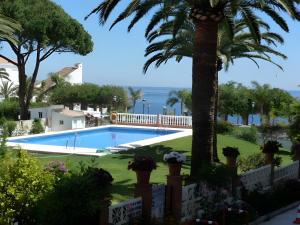 a villa with a swimming pool and a palm tree at Carabeo 19 in Nerja