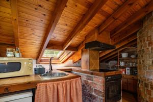 a kitchen with a sink and a microwave at Casa Florenta G4 in Cangas de Onís