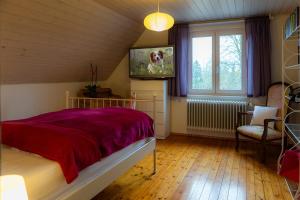 a bedroom with a bed and a tv and a window at s'Krumme Gustels Hüs in Bahlingen