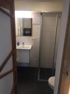 a bathroom with a shower and a sink and a toilet at Seeliebe-Reichenau in Reichenau +5 photos