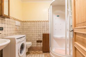 a bathroom with a washing machine and a toilet at Maso Noce Ovest in Mezzana