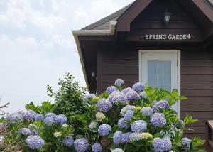 a bush of purple flowers in front of a building at Spring Garden Wando in Wando