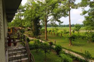 Zahrada ubytování River View Jungle Camp