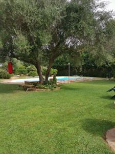 a park with a tree and a bench in the grass at Casa Pito Pito in Alghero