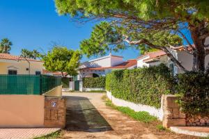 a driveway leading to a house with a tree at Sa Sivina in Cala en Bosc