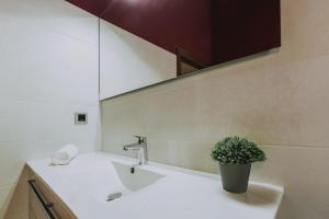 a bathroom with a sink and a potted plant at Fidalsa Rest Station in Burgos +38 photos