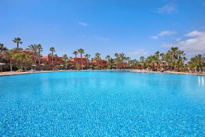 a large swimming pool next to a beach with palm trees at La Casa De Los Sueños in Corralejo