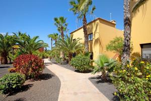 a walkway next to a yellow building with palm trees at La Casa De Los Sueños in Corralejo