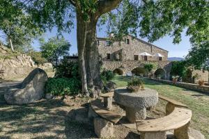 a stone house with a bench and a tree at Can Palau in Agullana