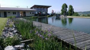 a wooden dock next to a lake with a house at Ferienwohnung Roth in Frickingen
