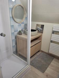 a bathroom with a shower with a mirror and a sink at Maison De Plage Le Cocon Pirouais in Pirou +17 photos
