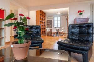 a living room with two black leather chairs and a plant at Chica's Lucca Luxury Loft in Lucca