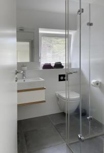 a bathroom with a toilet and a sink at Ferienwohnung Peterberg 22, 45qm in Kirchzarten +20 photos
