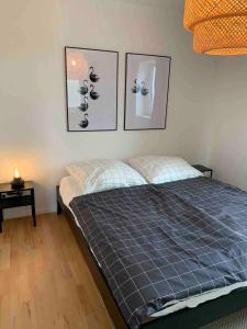 a bed in a room with three pictures on the wall at Chiemsee Schwanenloft in Seebruck
