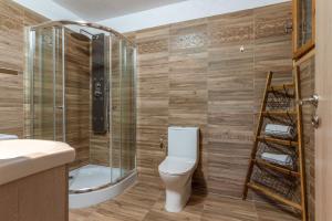 a bathroom with a toilet and a shower at Archontiko Keli in Katákoilos