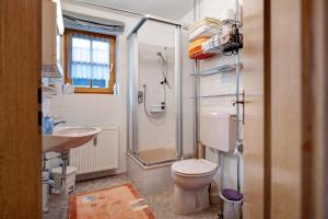a bathroom with a toilet and a sink and a shower at Ferienwohnung Huttenberg in Reit im Winkl +22 photos