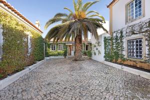 a palm tree in the courtyard of a house at Liberal Wing Villa in Portimão