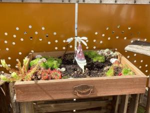 a wooden box with some plants in it at Ferienwohnungen Hubertus in Metzingen +20 photos