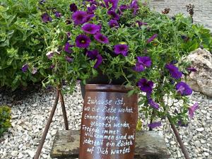a flower pot with purple flowers in a garden at Ferienwohnungen Hubertus in Metzingen