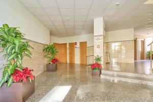 a hallway with potted plants in a building at Apto Urb Centro Internacional A117 in Torrox +22 photos