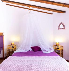 a bedroom with a bed with a mosquito net at Les Planious in LʼÉpine